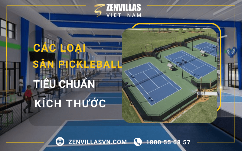 Các Loại Sân Pickleball Và Tiêu Chuẩn Kích Thước Của Sân